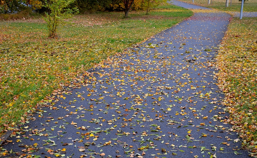 Why Fall is the Perfect Time to Address Yard Drainage Issues