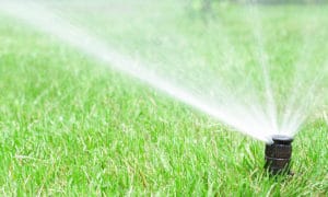 Benefits Of A Sprinkler System Installation | DeFazio Company